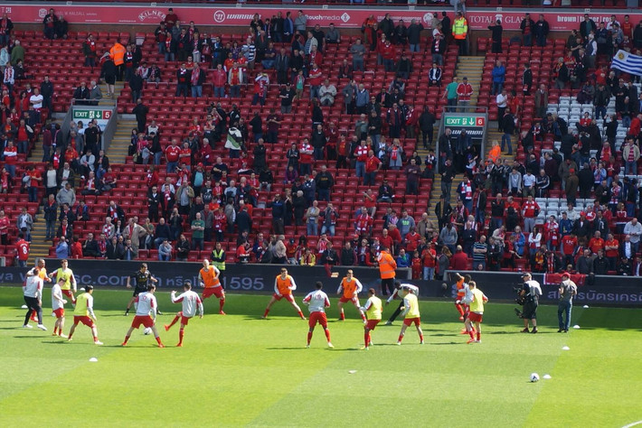 森纳右侧半 森纳右侧半